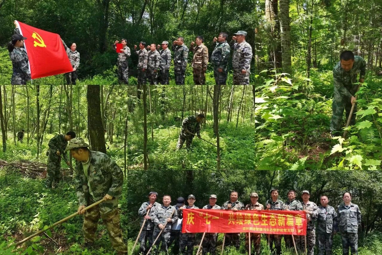 1719276584335783.jpg 微信圖片_20240625084936.jpg